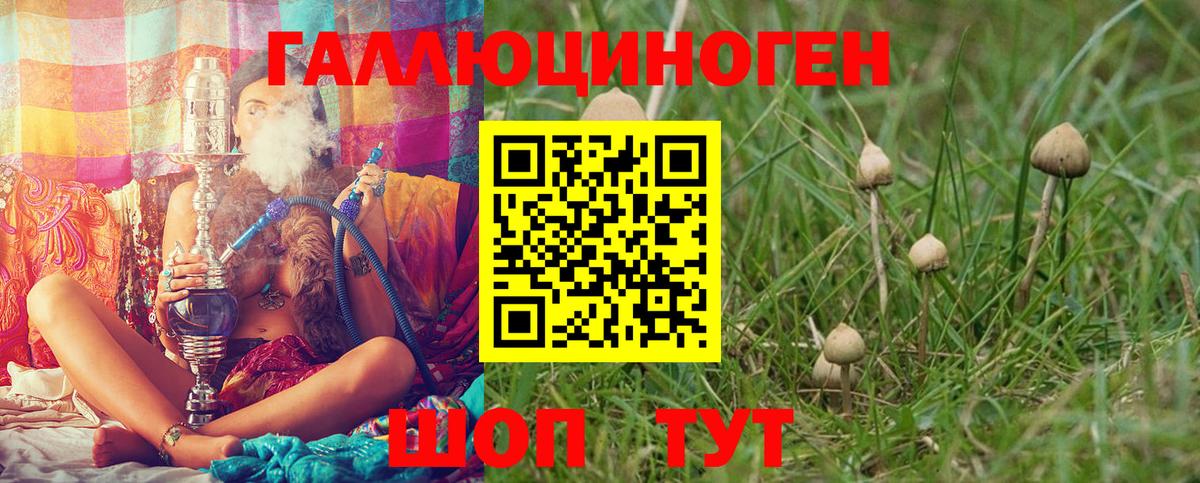 Галлюциногенные грибы MAGIC MUSHROOMS Пушкино