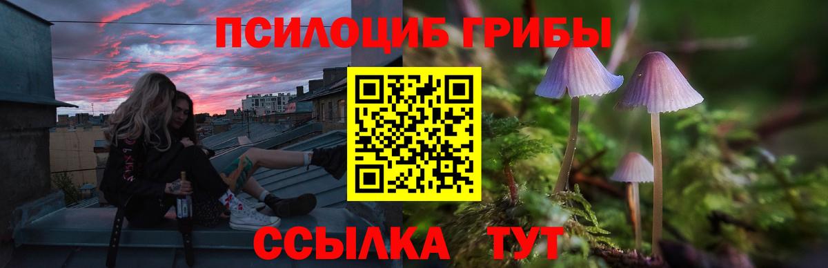 Галлюциногенные грибы Psilocybine cubensis  Псилоцибиновые грибы Psilocybe  Вход с VPN  Пушкино 